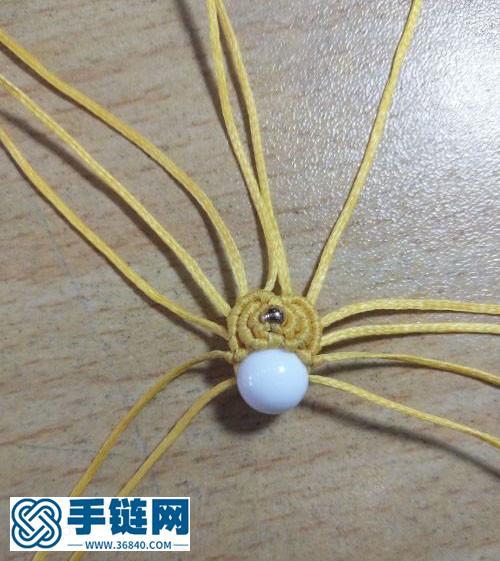 小头冠