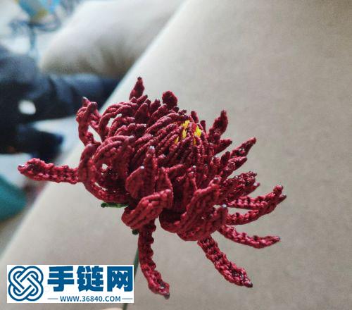 墨菊