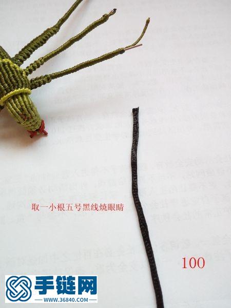 蝈蝈编法
