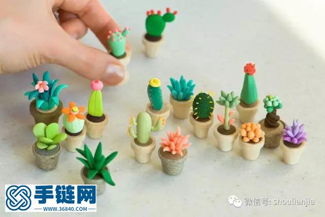 随心的多肉