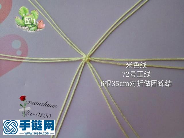 呆萌小狗