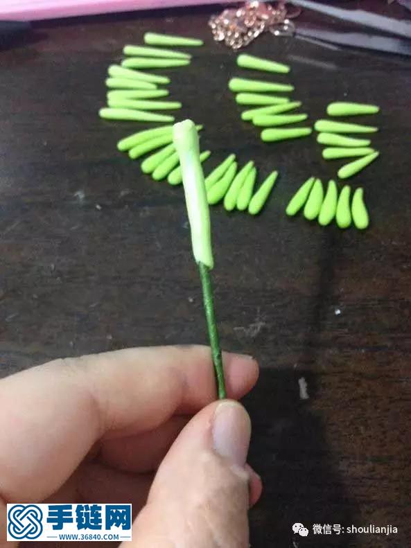 随心的多肉