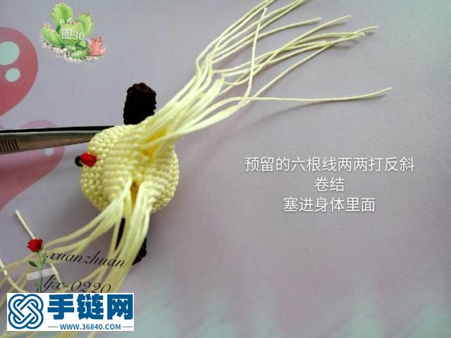 呆萌小狗
