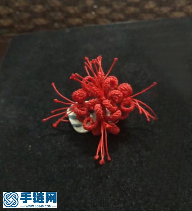 彼岸花教程