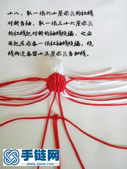 红色金刚鹦鹉鸟