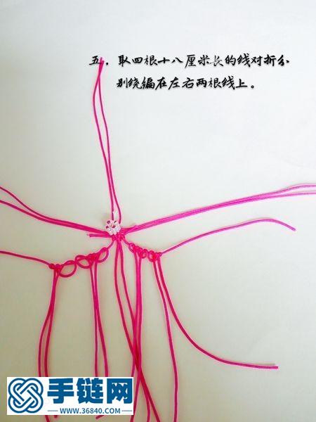 蝴蝶兰