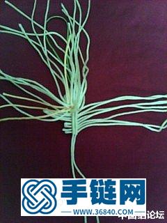 公园摘的小花的编法教程