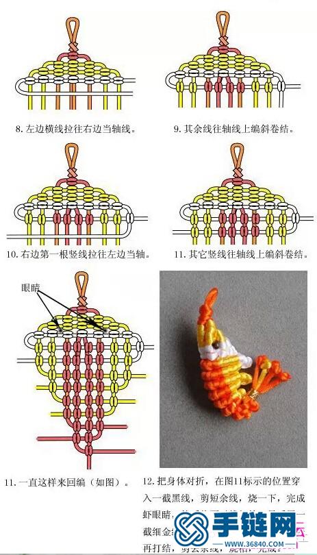 用斜卷结编小虾的方法