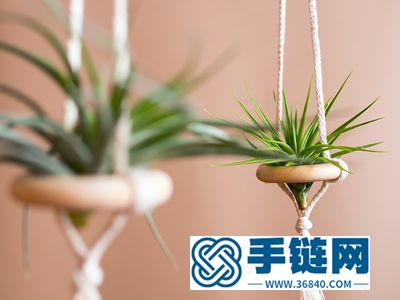 木珠木环简单DIY绳编空气凤梨吊挂栽培容器 