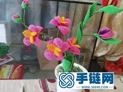 手工编织简单DIY_制作漂亮的绳结艺术蝴蝶兰 