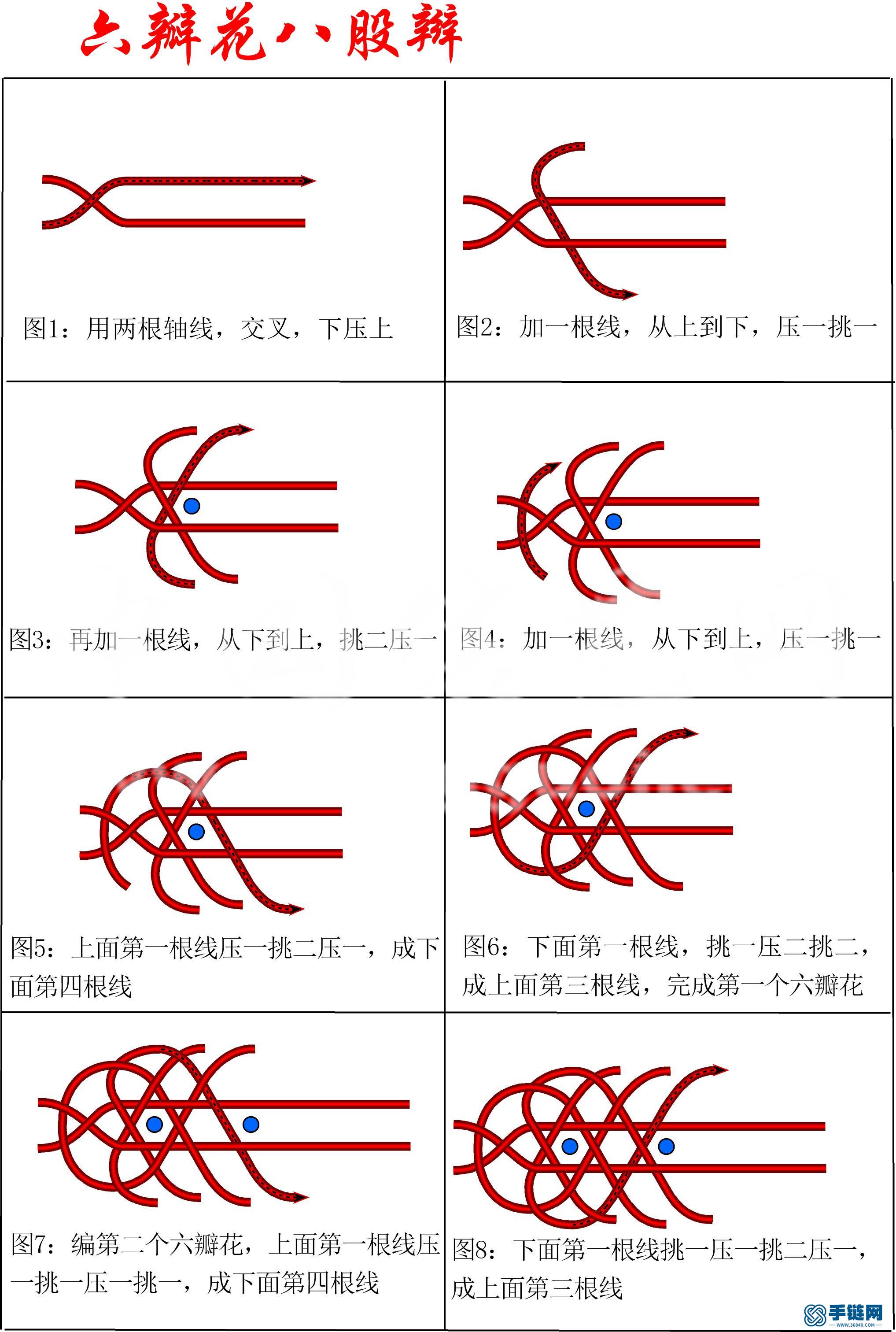 新的八股编-六瓣花八股辫