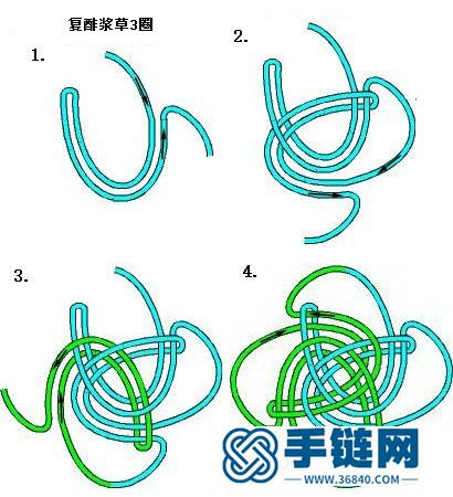 袈裟结、复酢浆草