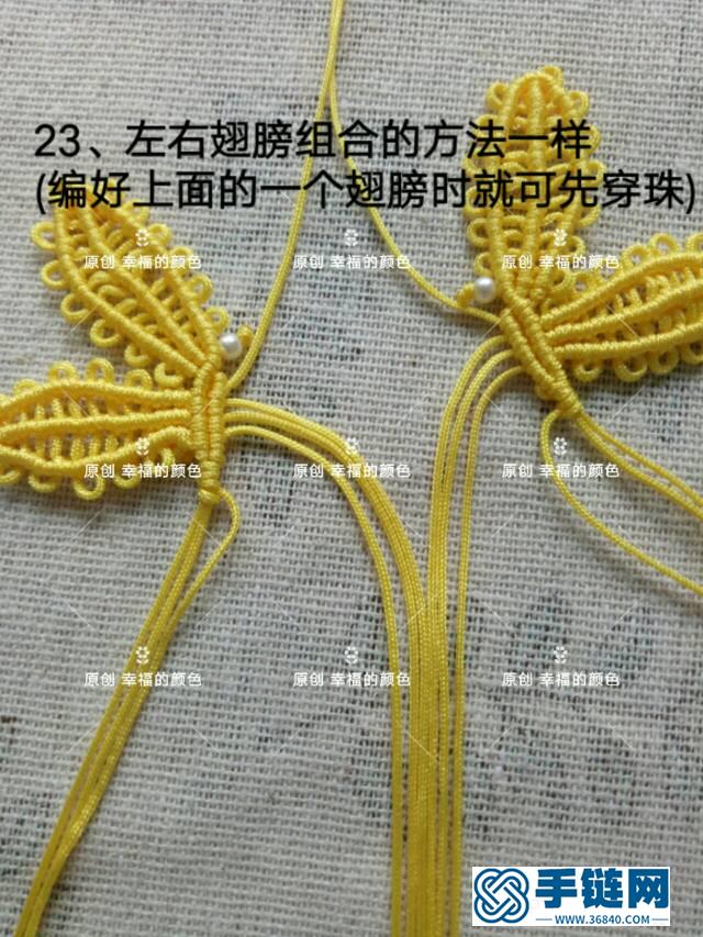 蜻蜓编织图解大全，之蕾丝蜻蜓编织做法