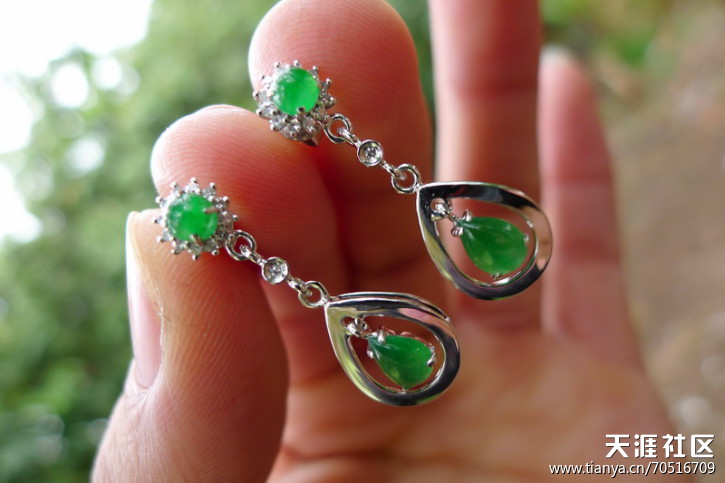 阳绿及墨翡男士戒指和手链，高冰观音，阳绿耳坠等共10件