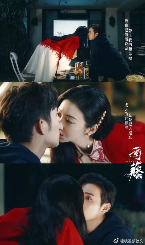 司藤和秦放是什么关系，司藤九眼天珠到底是什么,本文共（3805字）