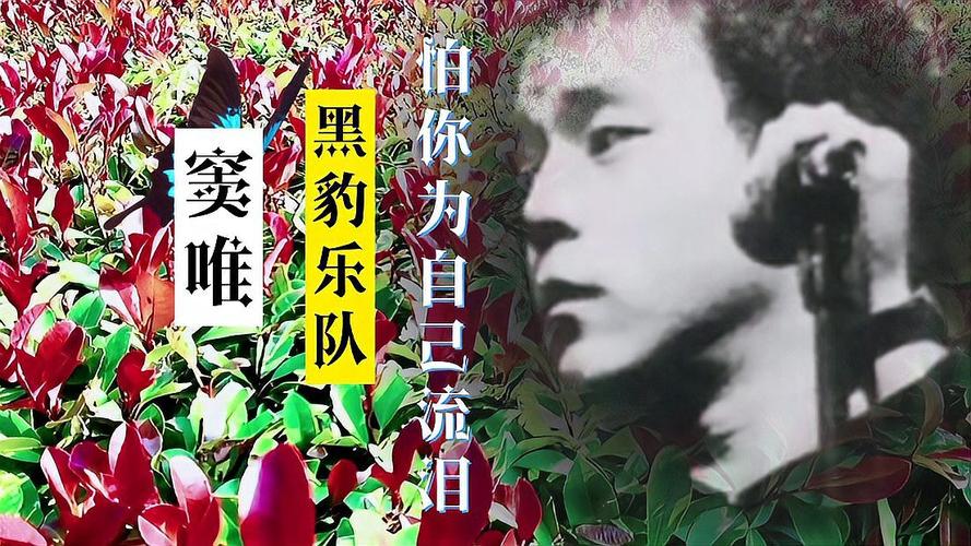 窦唯为什么离开黑豹，后期黑豹乐队又找过窦唯,本文共（3138字）