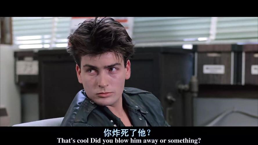 查理辛，哈利贝瑞,本文共（3980字）