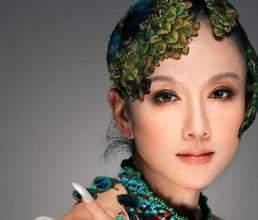 陈数为杨丽萍发声，杨丽萍结婚几次,本文共（4767字）