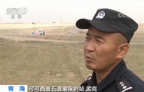 辉哥辉嫂怎么被发现的，大车辉哥辉嫂怎么回事,本文共（301字）