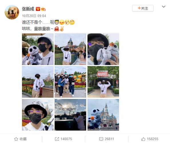 张新成现任女友，张新成卸妆后的照片,本文共（4681字）