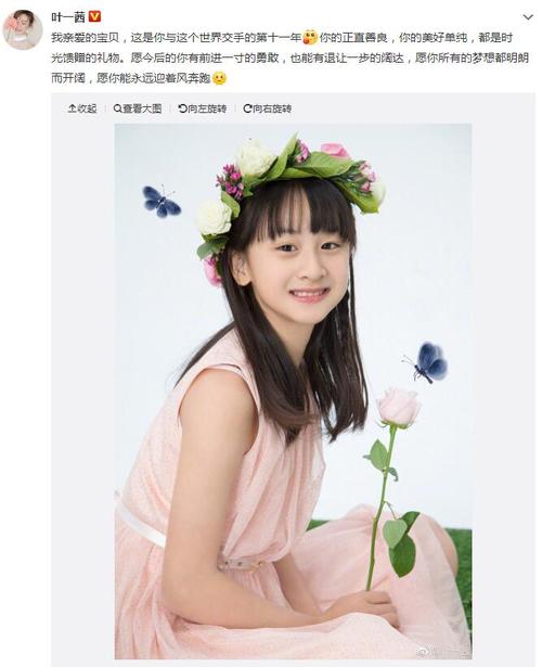 田雨橙张悦轩，王诗龄和田雨橙,本文共（800字）