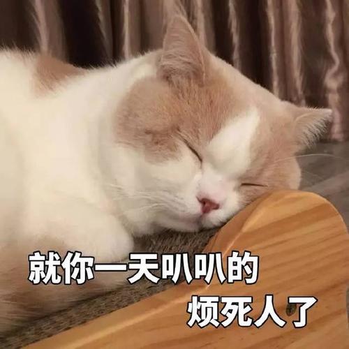 郑爽晒男朋友脱粉，郑爽男友回应软饭男争议,本文共（4954字）