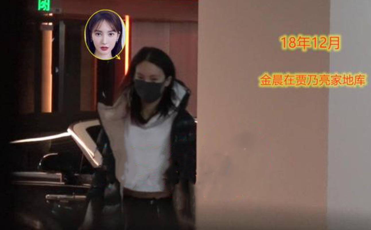 贾乃亮金晨，韩承羽麦迪娜,本文共（4701字）