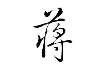 蒋家F，F拉加,本文共（4984字）