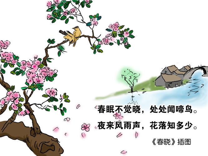 常春晓年龄，宋雯雯,本文共（3813字）