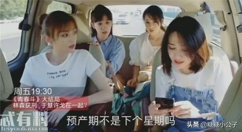 青春斗结局，青春斗为什么下架了,本文共（3539字）