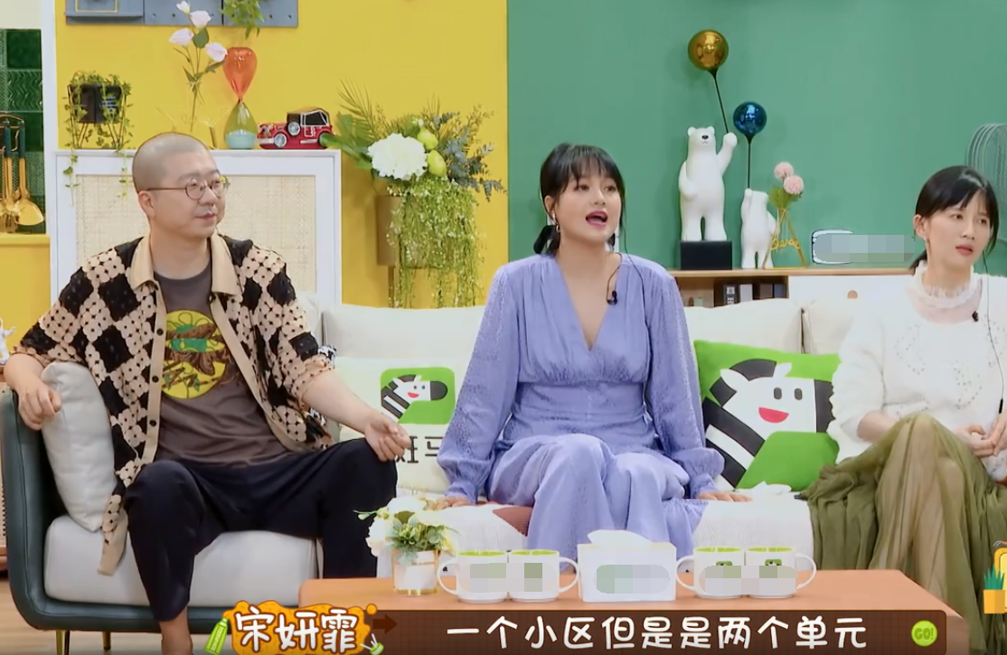 宋妍霏家世，张碧晨的评价,本文共（3924字）