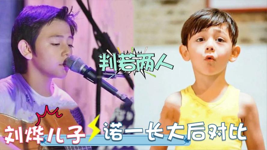 刘烨的儿子，混血儿的特征,本文共（3235字）