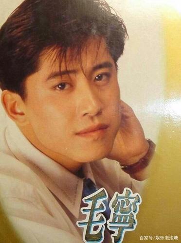 毛宁简历，毛宁的个人资料,本文共（2585字）