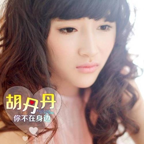 胡丹丹，赘婿胡丹丹,本文共（2924字）