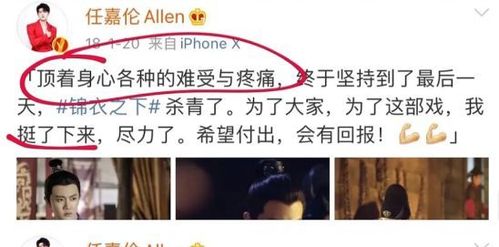 任嘉伦和聂欢的婚纱照，国超老婆聂欢,本文共（2826字）