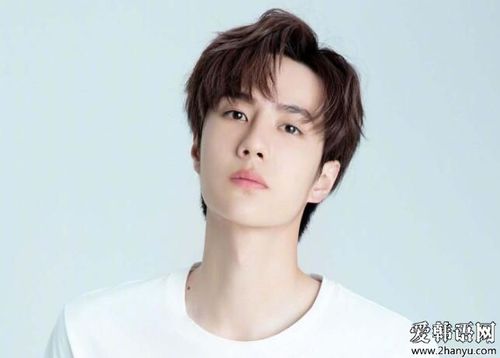 王一博个人简历资料，王一博强吻赵丽颖的视频,本文共（3641字）