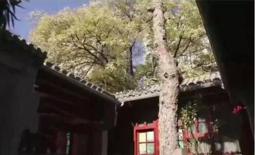 李晨北京，李晨家世,本文共（2587字）