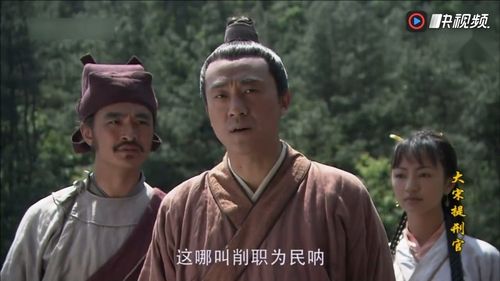 大宋提刑官演员表，大宋提刑官央视网全集,本文共（2111字）