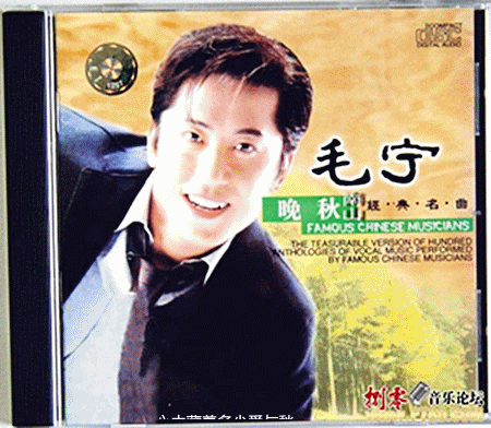 毛宁个人资料，毛宁大吗,本文共（4408字）