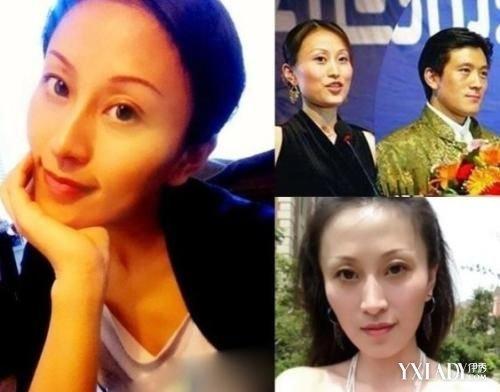 杨子前妻陶虹个人资料，杨子有4个老婆,本文共（3015字）