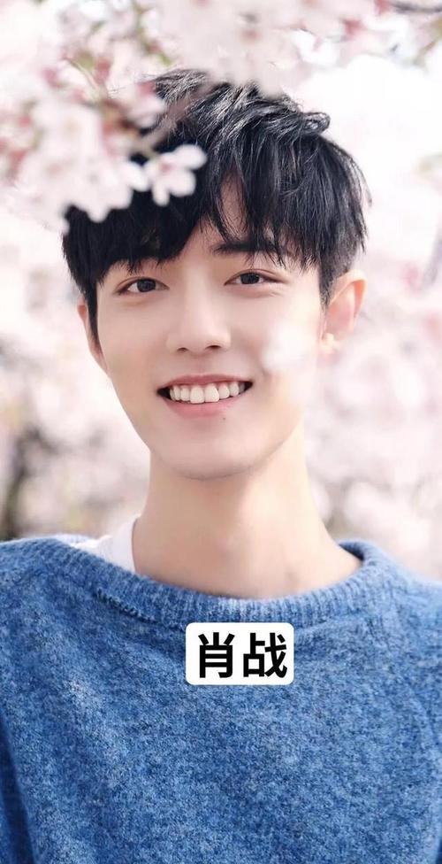 明星图，明星头像男生 霸气,本文共（1069字）