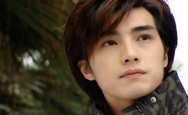 台湾男星，香港十大美男,本文共（3625字）