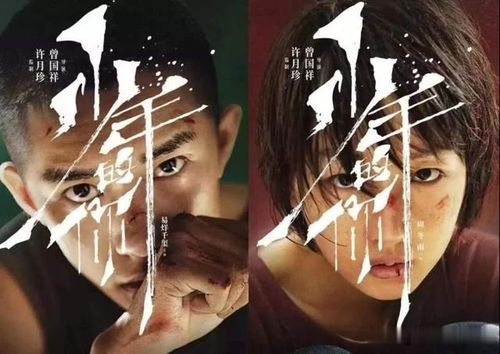 少年的你结局是啥，少年的你原著魏莱被强了吗,本文共（2420字）