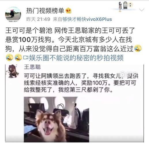 王思聪的狗，谁是王思聪的妻子(王思聪狗叫啥)