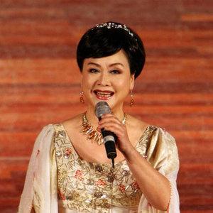 李谷一简介，涂磊妻子