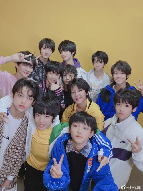tf家族成员资料，TF家族里面都(tf家族所有人的资料)