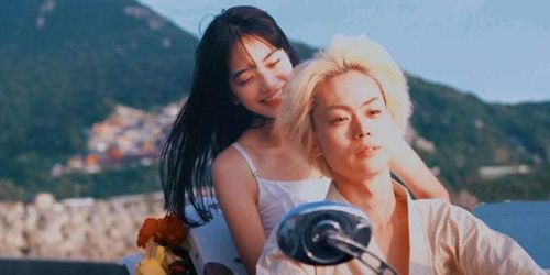 菅田将晖小松菜奈恋情，杰尼斯退社(菅田将晖小松菜奈恋爱)