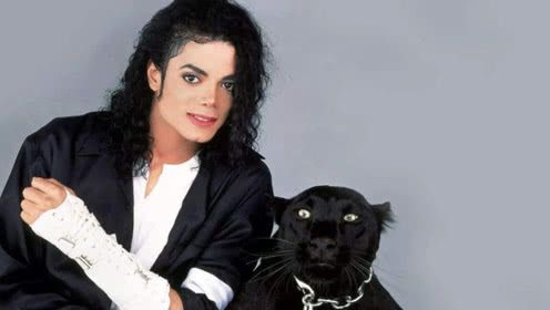 迈克尔杰克逊之死，迈克尔杰克逊烧(迈克尔杰克逊死于那年)