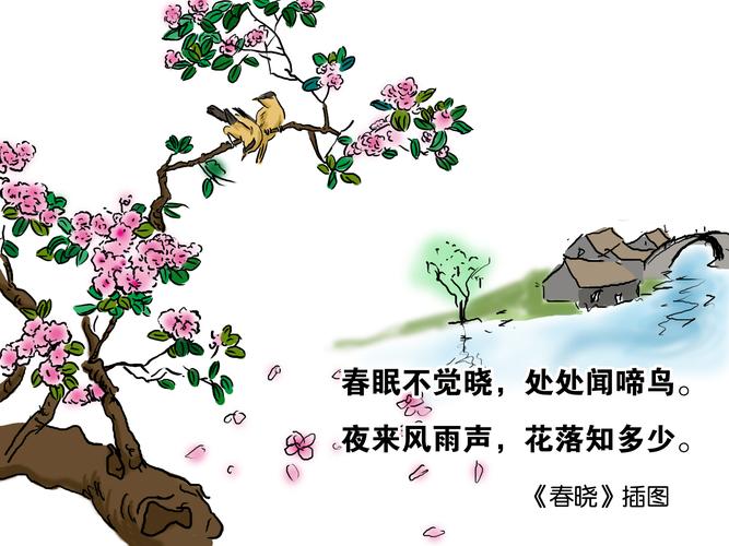 常春晓年龄，宋雯雯(常春晓身高)