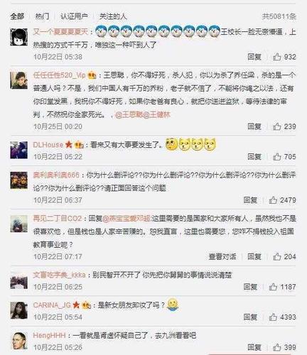 任桥梁吊起来图片，桥吊图片(吊桥梁的图片大全)